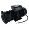 Jacuzzi® Lodge™ 2 Speed Hot Tub Pump - 930108653