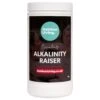 Hot Tub Total Alkalinity Increaser - 1kg | Outdoor Living