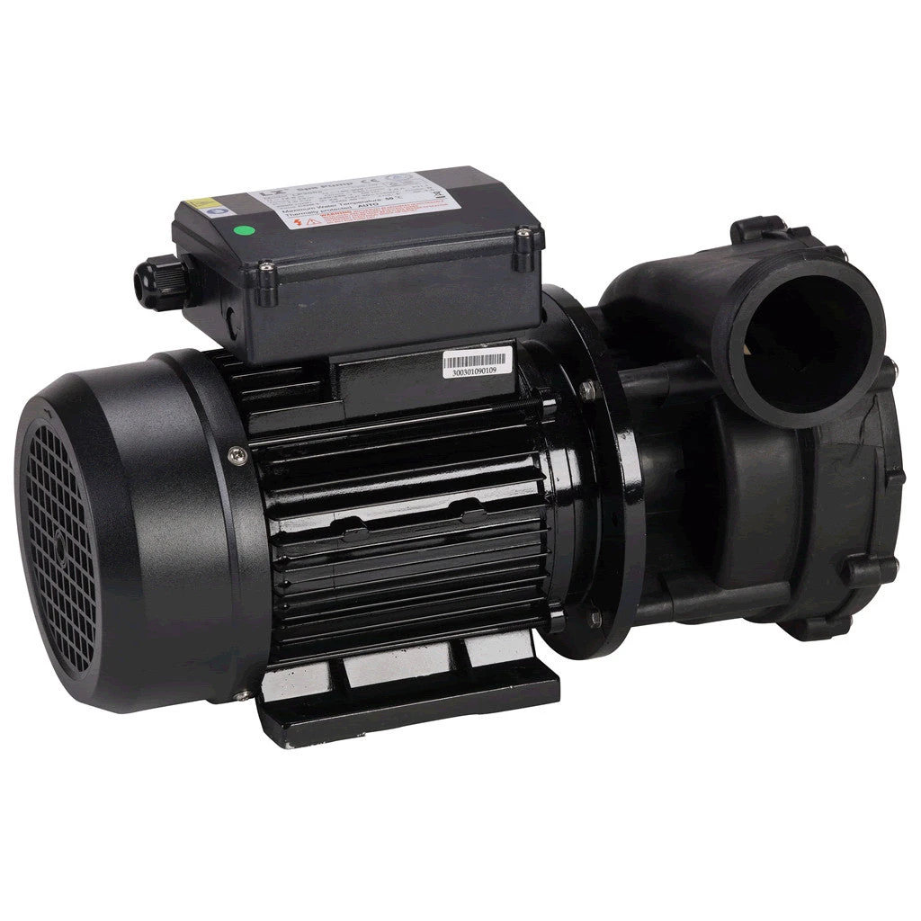 Jacuzzi® 1 Speed Hot Tub Pump 1 Jacuzzi® 1 Speed Hot Tub Pump